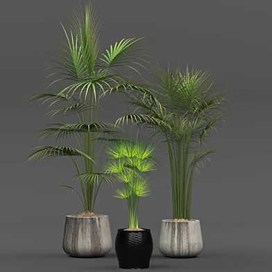 Collection of plants 01