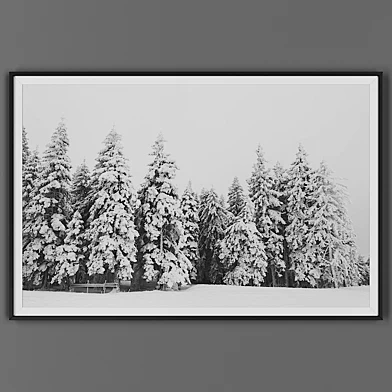 Picture frame 00043-11