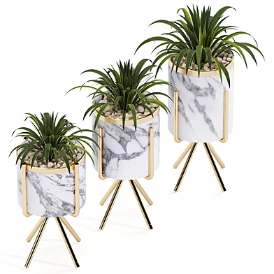 Plant collection 05