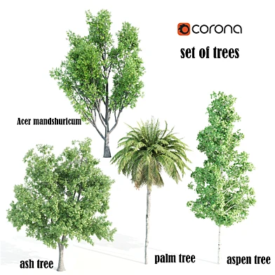 4 tree set09