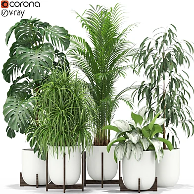 Plants collection 354