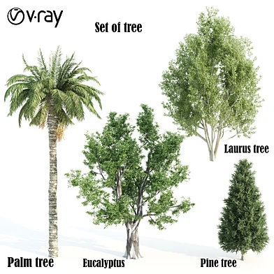 set of tree-11-vray