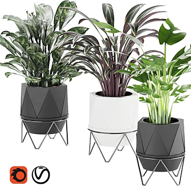 Collection plant vol 3