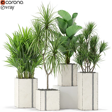 Plants collection 375