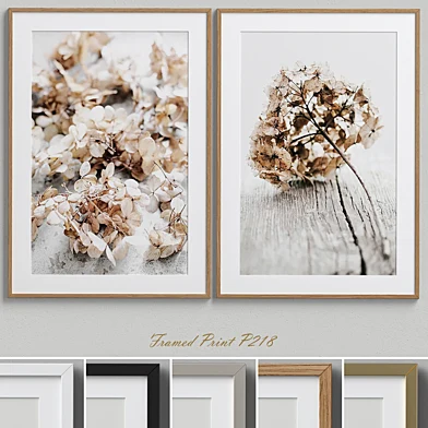 Framed Print P-218