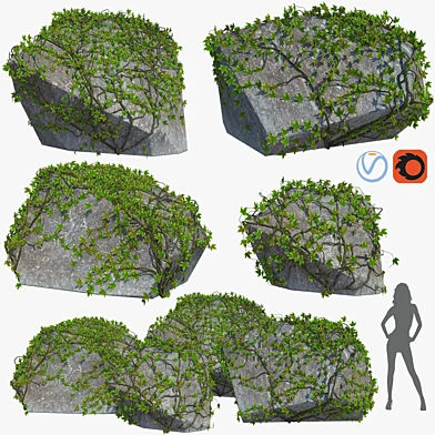 Stone with ivy v1