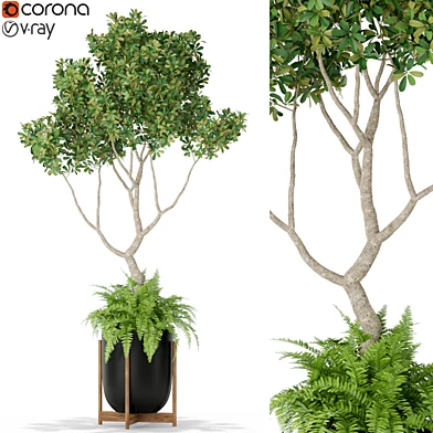 Plants collection 395