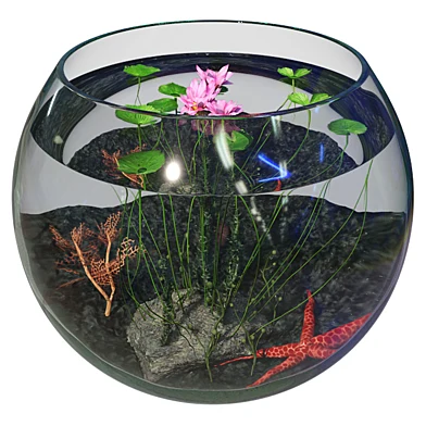 Aquarium 001