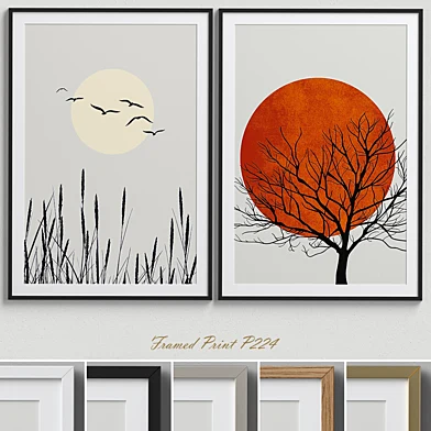 Framed Print P-224