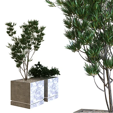 plants box set 09