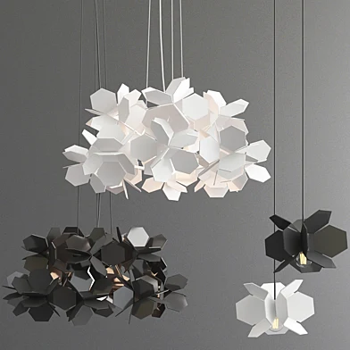 Hydrangea Collection