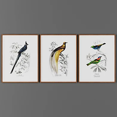 Picture frame set 00040-33