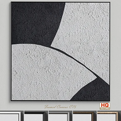 Framed Canvas C-75