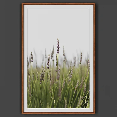 Picture frame 00046-48