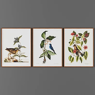Picture frame set 00040-56
