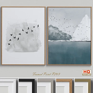 Framed Print P-269