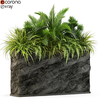 Plants collection 431