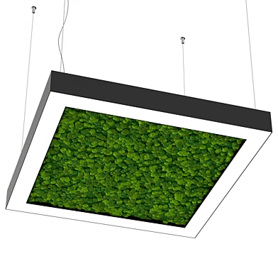 Bone light квадрат со мхом OM