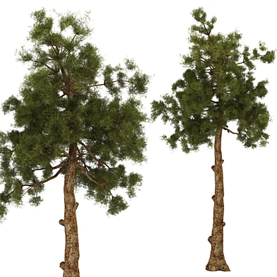Tree 2