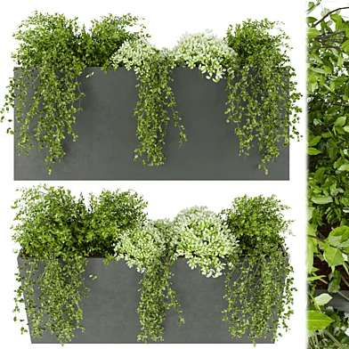 Collection plant vol 48
