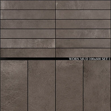 Ariana Ceramica Worn Mud 100x600 Set 1