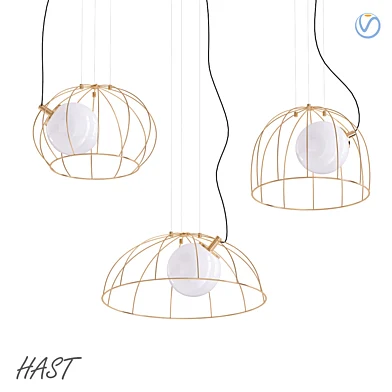 HAST