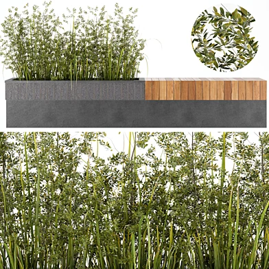 Bench and plant 01