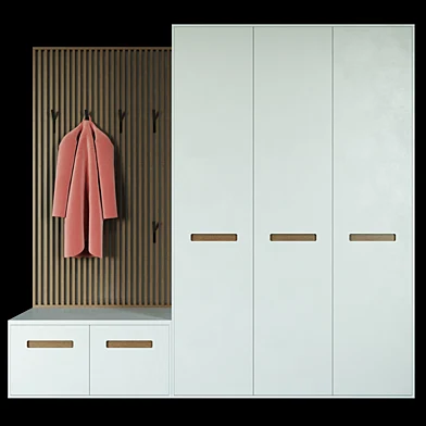 Entrance hall furniture modern