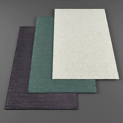 Rugs 664