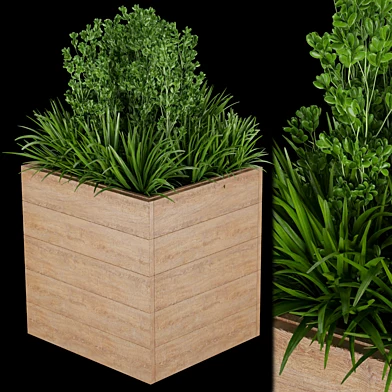 Collection plant vol 134
