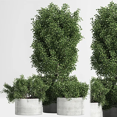 Indoor_tree_&_concrete_set