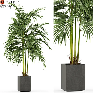 Plants collection 477