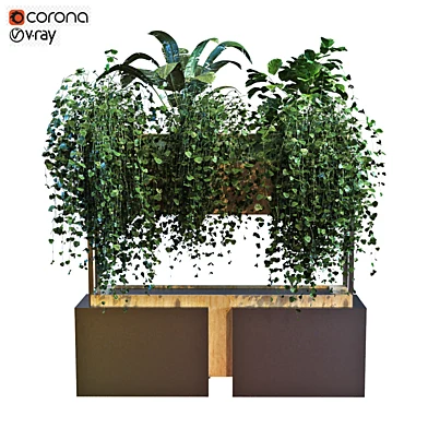 plant in box set 041