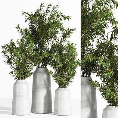 Bouquet_Gray branch in the pot