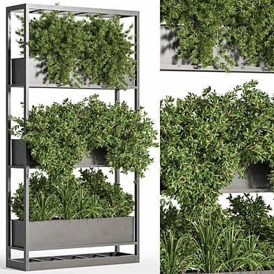 indoor plant set 24