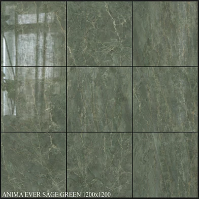Caesar Anima Ever Sage Green 1200x1200
