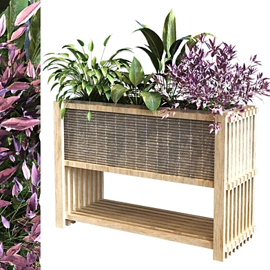 plant in box set 103