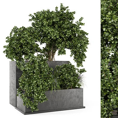 Outdoor Plant Box in rusty Concrete Pot - Set 209