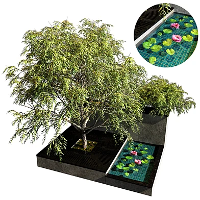 PLANTS COLLECTION NO2