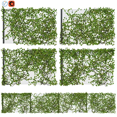 Fence with Ivy v11