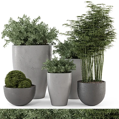 Outdoor Plants Bush  in rusty Concrete Pot - Set 232