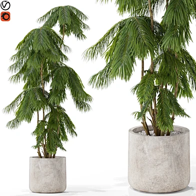 Plants collection 573