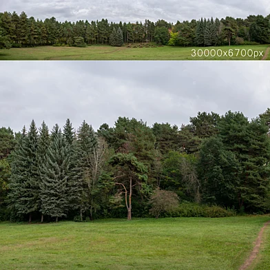 Осенняя панорама с деревьями. 30к