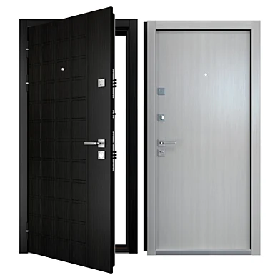 Modern entrance door
