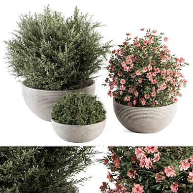 Outdoor Plant Set 300 - Plants in Gray Pot