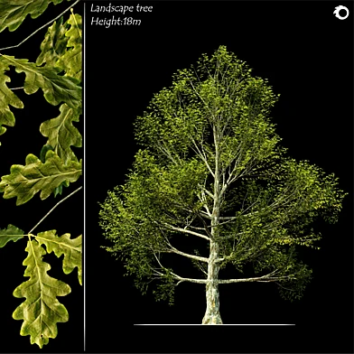 Landscape tree