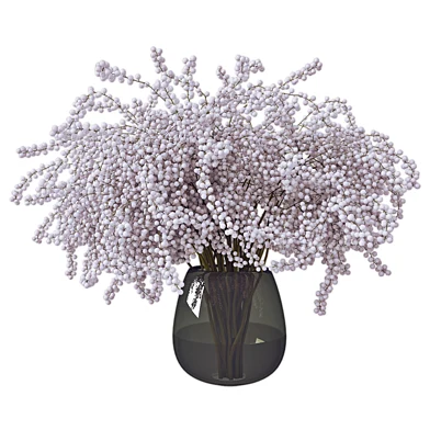 Mimoza