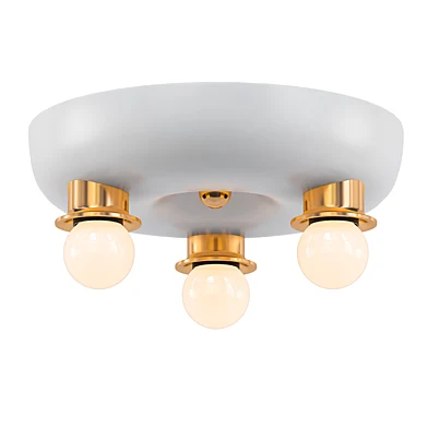 CEILING LAMP 2570