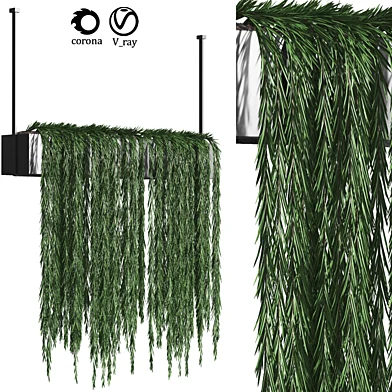 plant_10