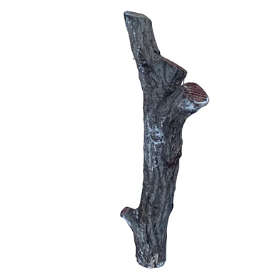 trunk 58